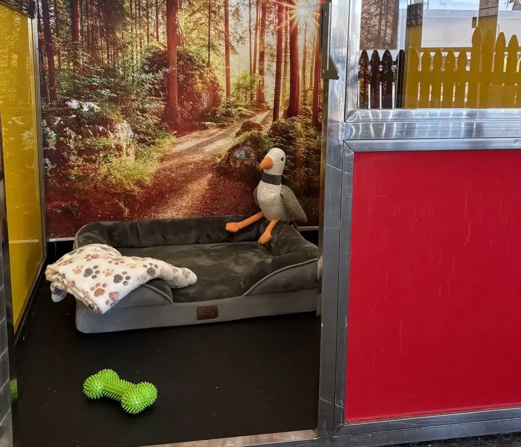 The VIP Pup Suite boarding suite for large dogs